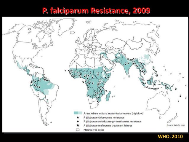 gebrak malaria 2010